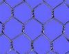 Hexagonal wire mesh