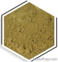 Moringa fruit powder, Moringa pod powder