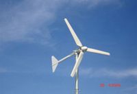 Supplying Wind Turbine 500w, 1kw, 2kw, 5kw