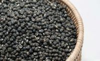 Black Matpe Beans