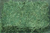 Bulk Alfalfa Hay and Alfalfa hay