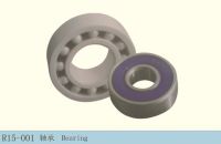 Ceramic Bearing