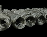 Sell black annealed wire, binding wire, common nails