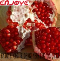Ellagic Acid from Pomegranate ENJOYE offered