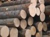 Sell Timber/Logs