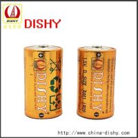 alkaline LR20 DSIze AM-1 battery