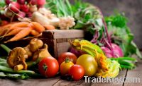 Sell Organic Vegetables, Dried Fruits