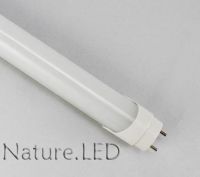 Sell led T8 tube light