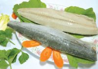 Sell IQF  Spanish Mackerel Fillets