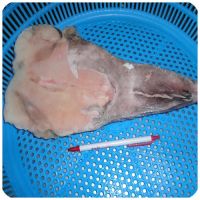 Sell Frozen Monkfish H/G