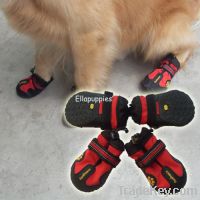 Sell pet shoes YS001