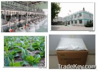 Sell high purity stevia