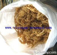Sell Dried Eucheuma Cottonii Seaweed