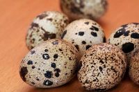 Quail Eggs