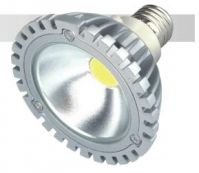 LED Spotlight (PAR38-15w)