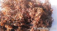 We Sell Dried Sargassum Seaweed