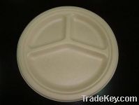 Sell   10 inch Three Compartments Plate