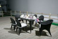 Sell Dining set 2010 hotselling
