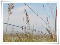 Sell Grassland fencing