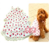 Pet Lovely Strawberry Pagoda Dress