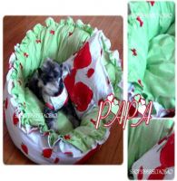 pet flower cushions