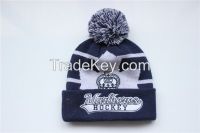 Sell winter beanie/winter hat