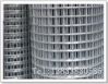 Sell  wire mesh
