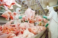 HALAL CHICKEN FROM BRAZIL DIRECT TO SELLER FS BROKERS