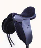 Sell Dressage Saddle and other Horse Racing Products