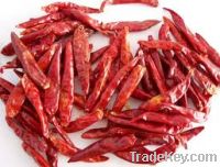 Sell Dried Red Chillies Teja