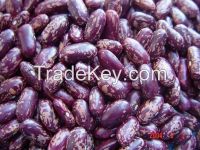 Sell purple speckled kidney beans