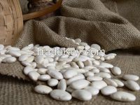 Sell Long White Kidney Beans