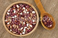 Sell Pinto kidney beans