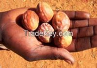Sell Mongongo Nut