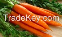 Sell Carrots