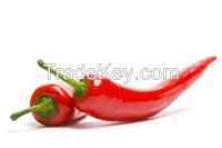 Sell Red Hot Chilli