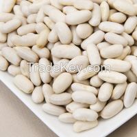 Sell Cannellini Beans