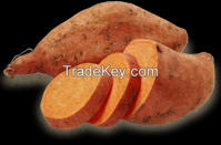 Sell Sweet Potato