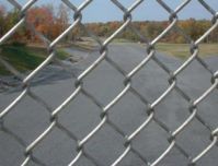 Sell Galvanize  Chain Link Fence