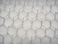 Sell Galvanized hexagonal wire netting