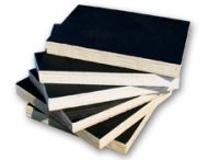 Sell film faced plywood002