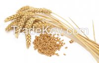 Sell Wheat