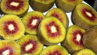 Sell red pulp kiwifruit