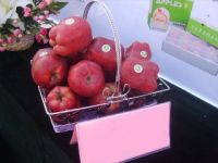 Sell fresh red delicious apple