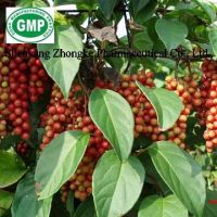 Sell Fructus schisandrae chinensis *****
