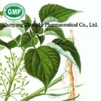Sell Nettle Extract