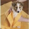 Sell PVA Pet Towel