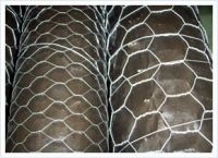 Sell Hexagonal Wire Netting