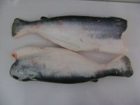 Sell Pangasius/ Basa HGT