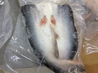 Sell Frozen Butterfly Pangasius